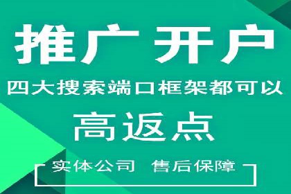 案例分析：百度广告竞价助力电商企业提升销售额